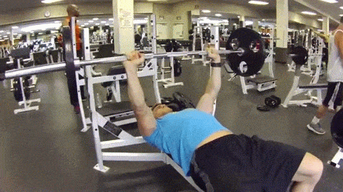 Gym Workout