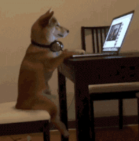 Watching YT Tech Videos